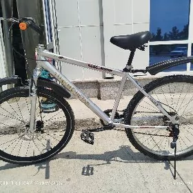 Tigir Turkmenistan 26-lyk.