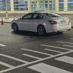 Nissan Maxima 2010