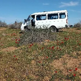 Gaz Gazel 2014