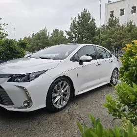 Toyota Corolla 2019