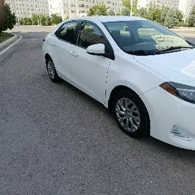 Toyota Corolla 2017