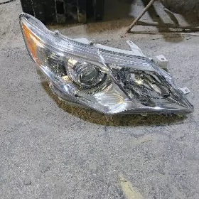 palta kemri sağ tarap cyra