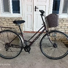 Tigir 27