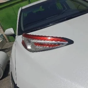 stopnik camry