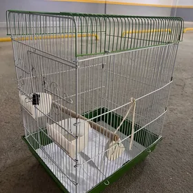 клетка