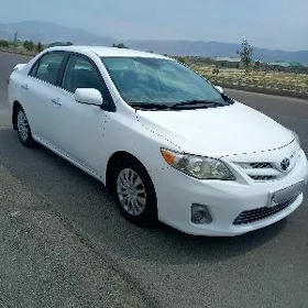 Toyota Corolla 2010