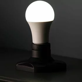 lampa