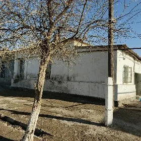Tejen satlyk jaý