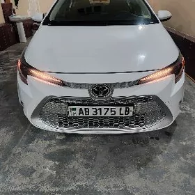 Toyota Corolla 2021