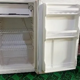 kiçi haladilnik
