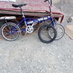 kama tigir