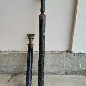 awto şaylar