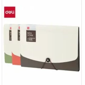 Resminamalar üçin papka DELI