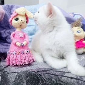 Девочка и мальчики