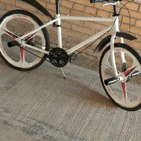 24 lik sport