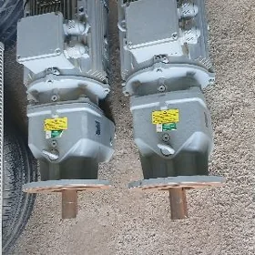 Electromotor reduktorly