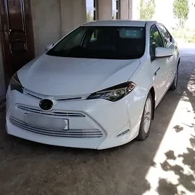 Toyota Corolla 2017