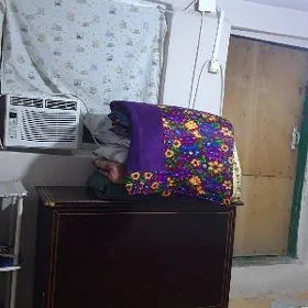 Kwartirant gerek