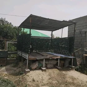 Tapjan