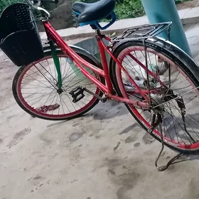 WOLSAPET