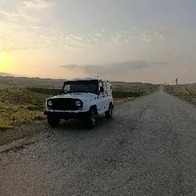 UAZ 469 2005