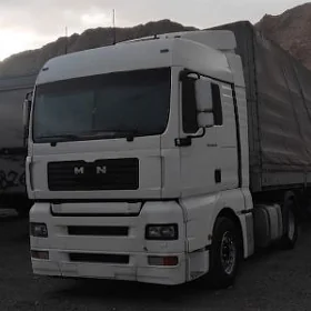 Man TGX 2008