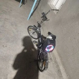kama 20 lik