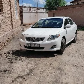 Toyota Corolla 2010