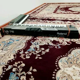 Roland va 76