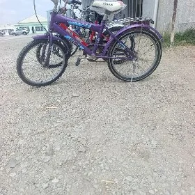 velsepid