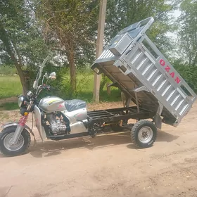 Fekon FK200-14G 2024
