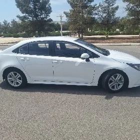 Toyota Corolla 2023
