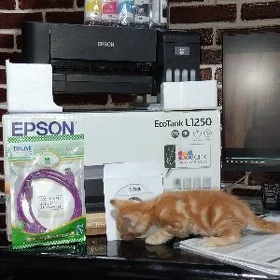 AMATLY EPSON L1250 WI-FI PRINT