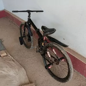 sport velik
