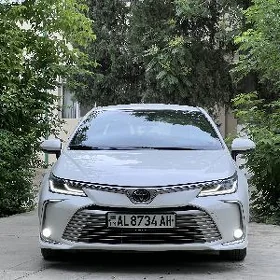 Toyota Corolla 2020