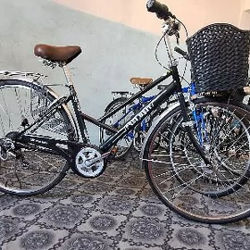 tigir 27 ÿapoşka welo