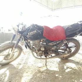 Fekon FK150-8G 2014