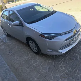 Toyota Corolla 2019