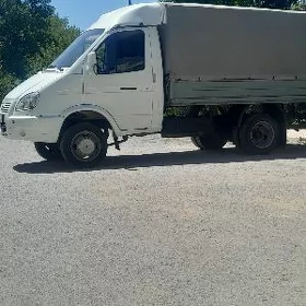 gazel