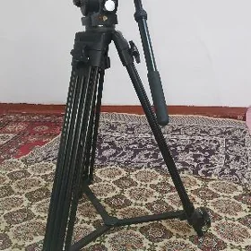 statiw saklayjy