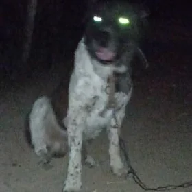 Aźdar