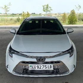 Toyota Corolla 2023
