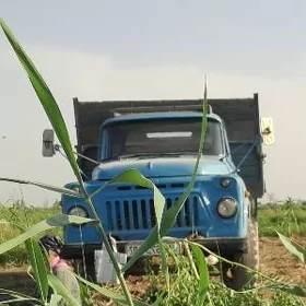 Gaz 53 1981