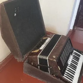 akkordeon