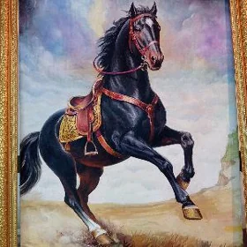 elde çekilen bedewiñ suraty