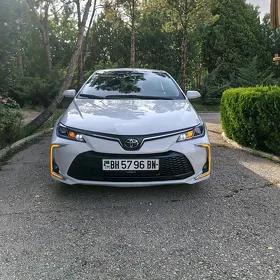 Toyota Corolla 2024