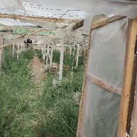 profel agaç reyka materyallar
