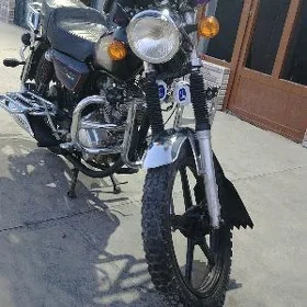 Fekon FK150-8G 2016