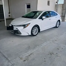 Toyota Corolla 2023