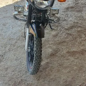 Fekon FK150-8G 2025